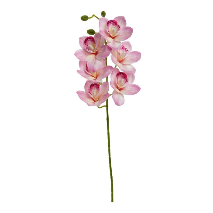 CIMBIDIUM 6 FIORI CM.68 ROSA